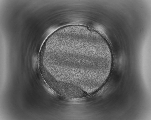 X0000086281284200704262029