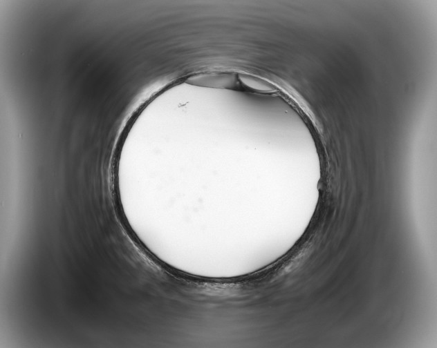 X0000086281285200704262029