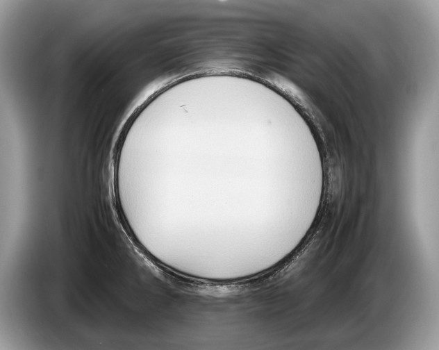 X0000086281286200704262029