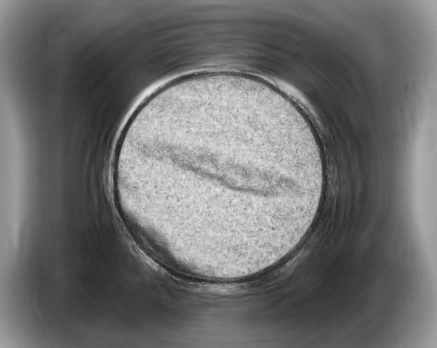 X0000086281288200704262029