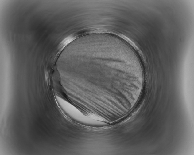 X0000086281289200704262029