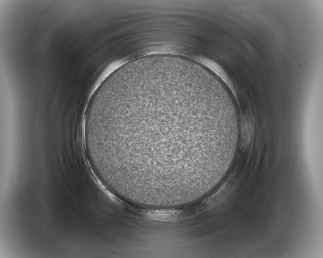 X0000086281290200704262029