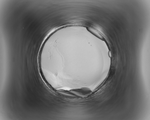 X0000086281291200704262029