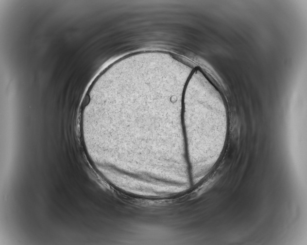 X0000086281292200704262029