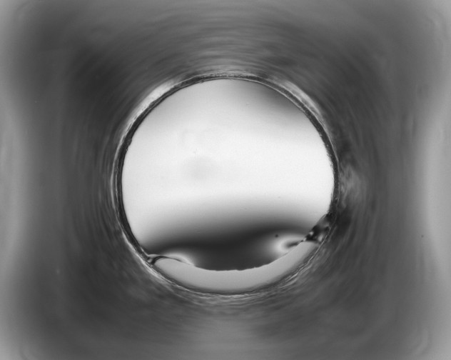 X0000086281293200704262029