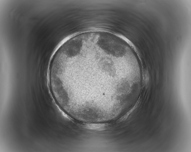 X0000086281294200704262029