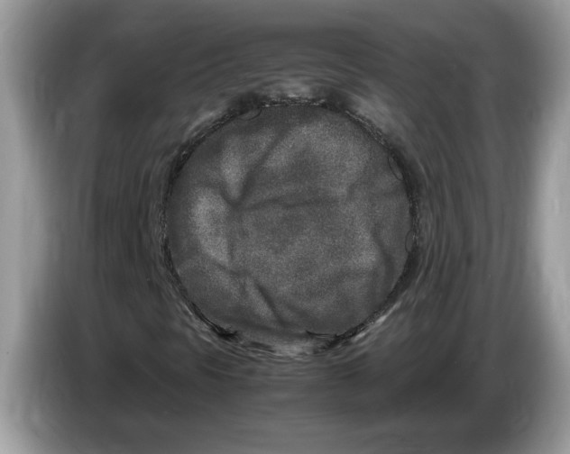 X0000086281297200704262028