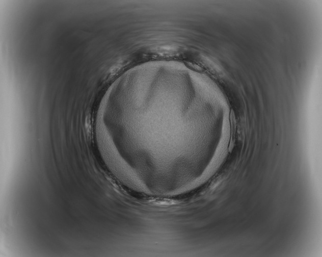 X0000086281298200704262028