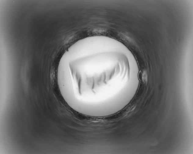 X0000086281299200704262028