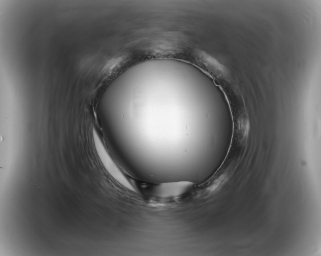 X0000086281300200704262028