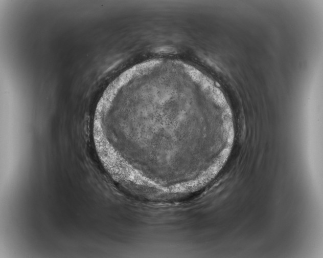 X0000086281301200704262028