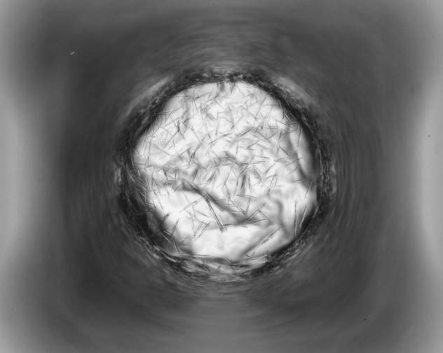 X0000086281302200704262028
