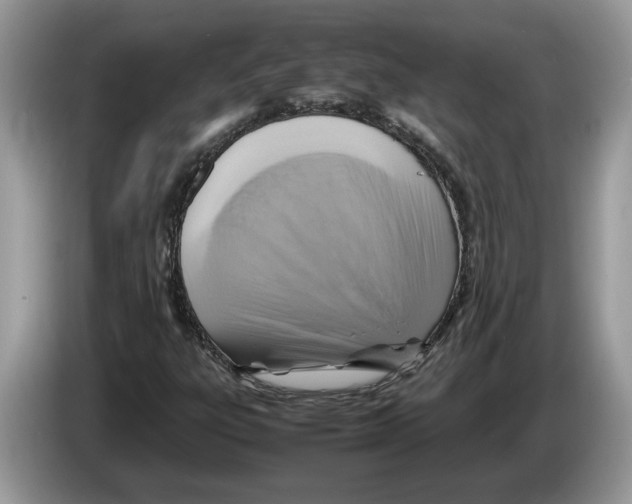 X0000086281303200704262028