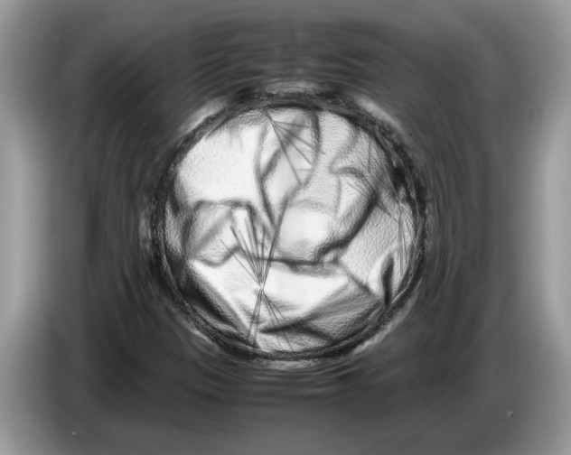 X0000086281305200704262028