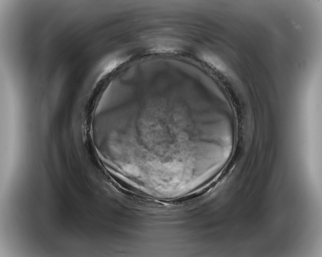 X0000086281306200704262028