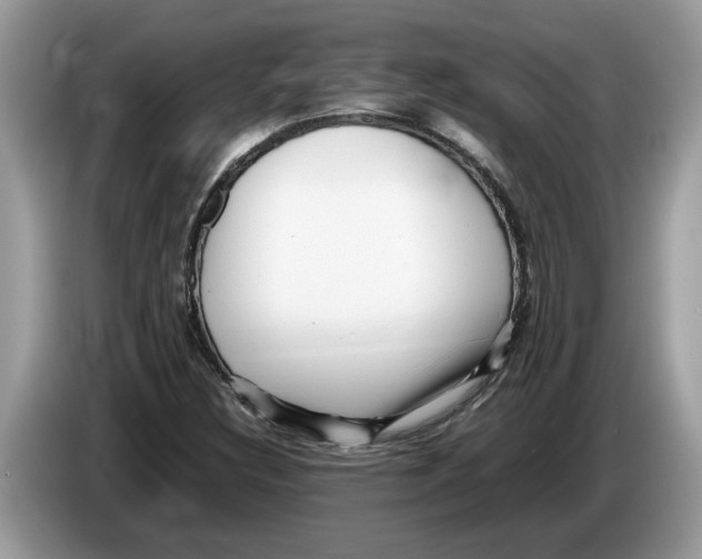 X0000086281308200704262028