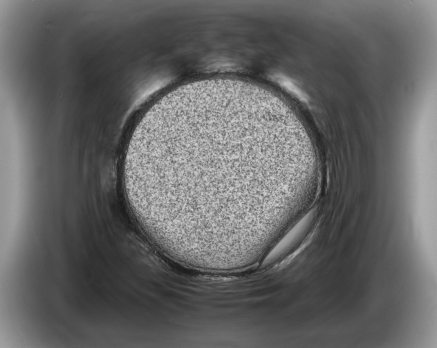 X0000086281309200704262028