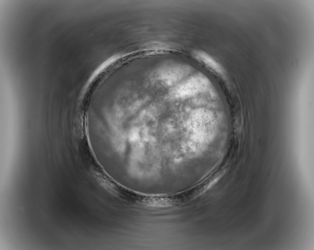 X0000086281310200704262028