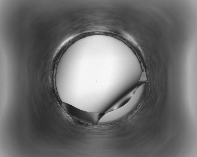 X0000086281312200704262028