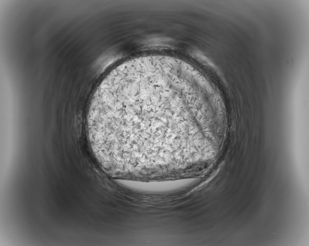 X0000086281313200704262028