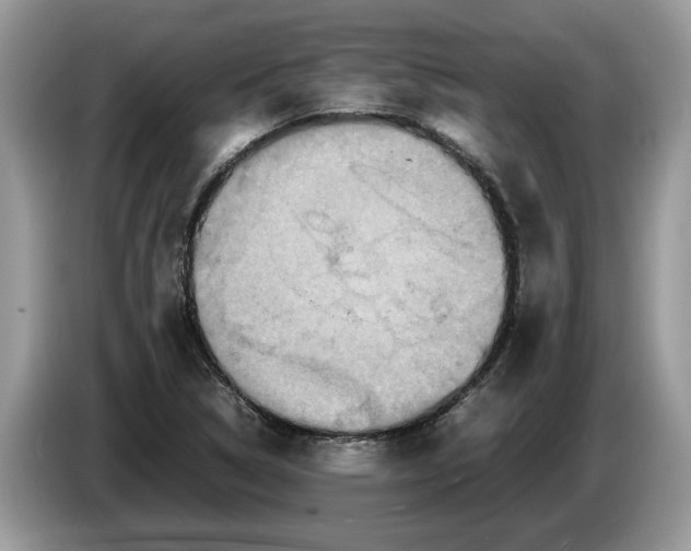 X0000086281314200704262028