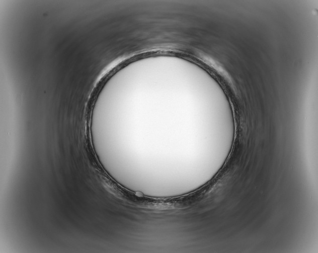X0000086281316200704262028