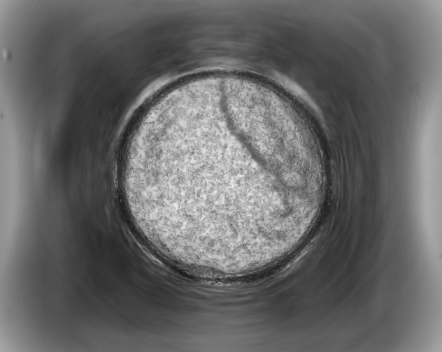 X0000086281318200704262028