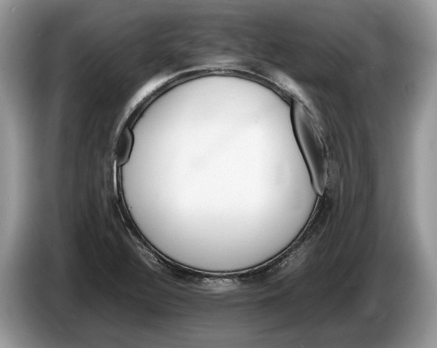 X0000086281320200704262028