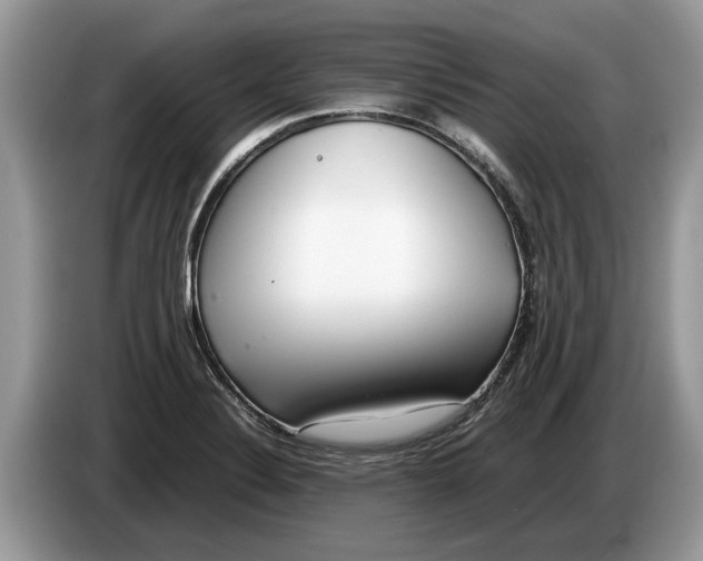 X0000086281324200704262028
