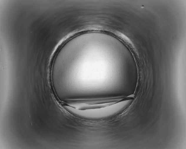 X0000086281326200704262028
