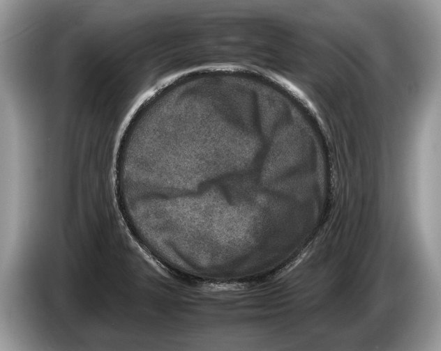X0000086281327200704262028