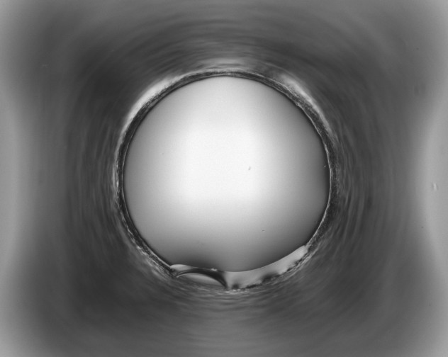 X0000086281328200704262028