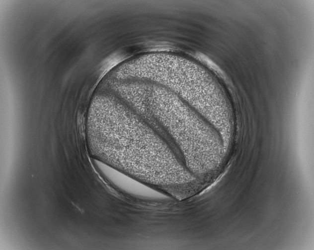 X0000086281329200704262028