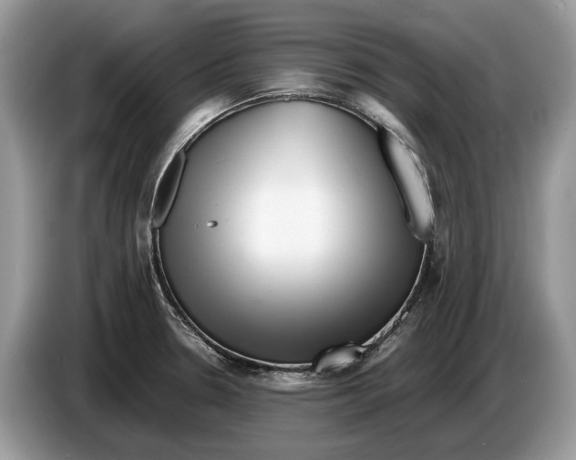 X0000086281330200704262028