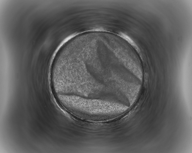 X0000086281331200704262028