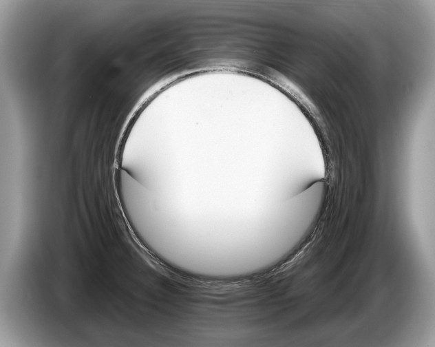 X0000086281332200704262028