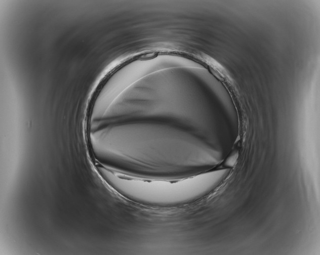 X0000086281334200704262028