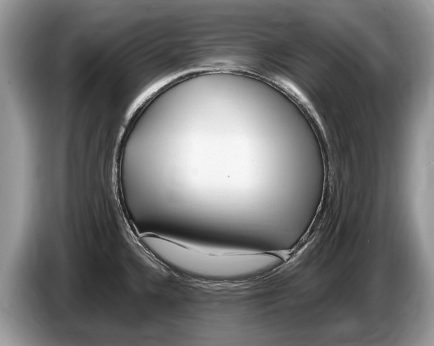 X0000086281336200704262028