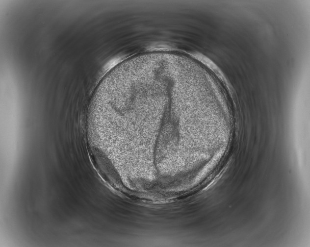 X0000086281337200704262028