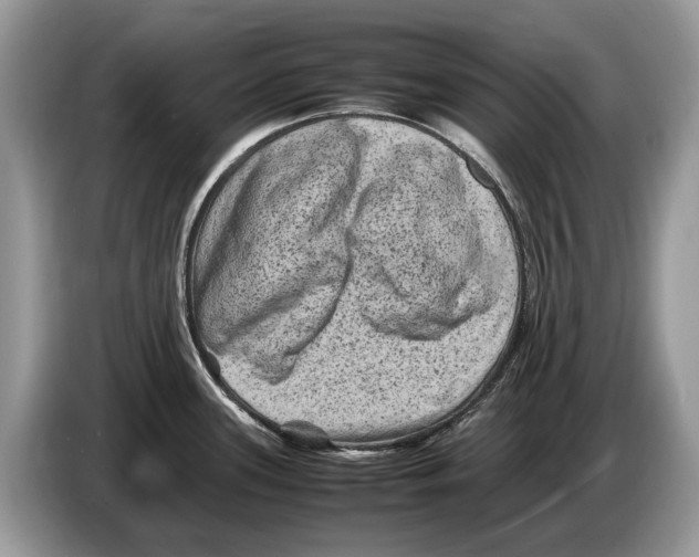 X0000086281339200704262029
