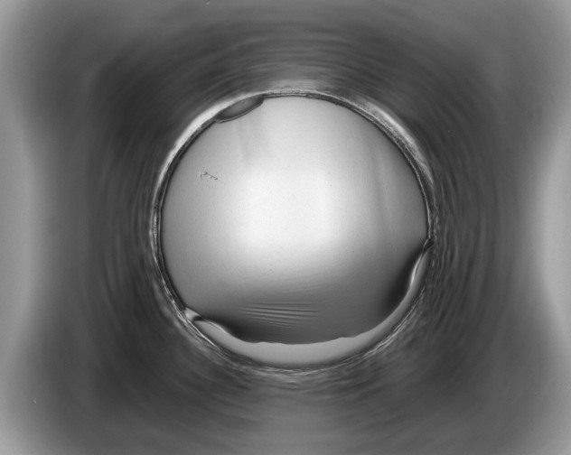 X0000086281340200704262029