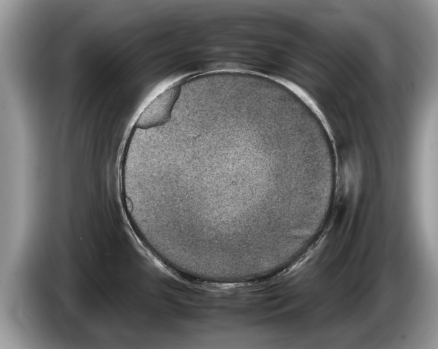 X0000086281341200704262029