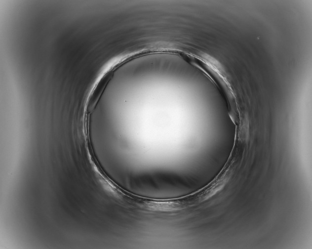 X0000086281342200704262029