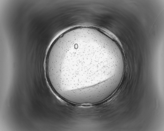X0000086281343200704262029