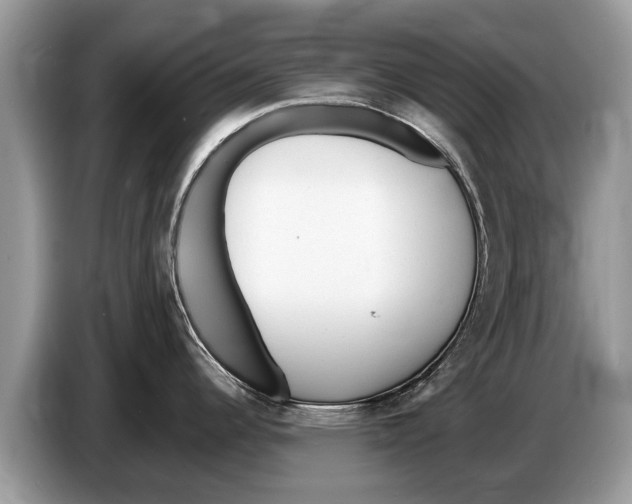 X0000086281344200704262029