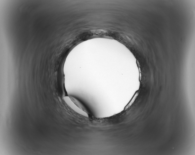 X0000086281345200704262028