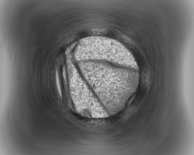 X0000086281346200704262028