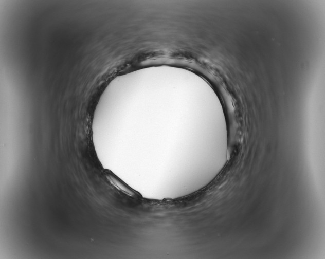 X0000086281349200704262028