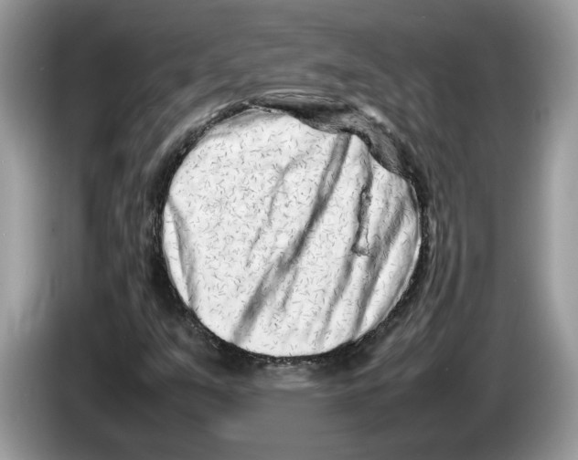 X0000086281351200704262028