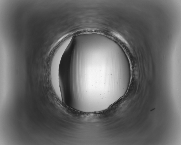 X0000086281352200704262028